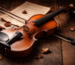 Violin